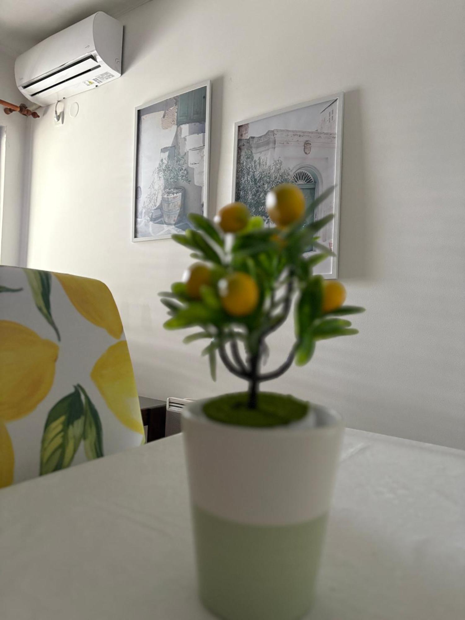 Apartments Херцег-Нови Номер фото